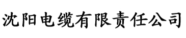 隔壁机长大叔是个饿狼电缆厂logo